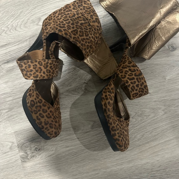 Leopard platform - Picture 4 of 5